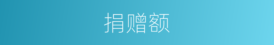 捐赠额的同义词