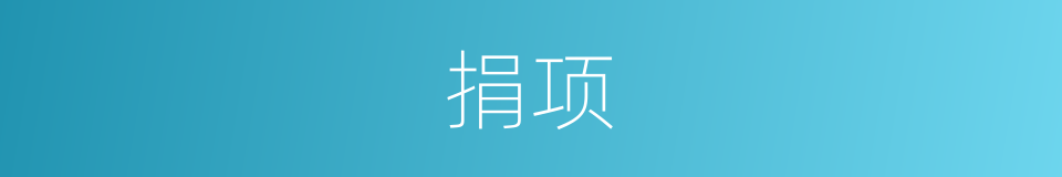 捐项的意思