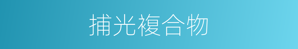 捕光複合物的同义词