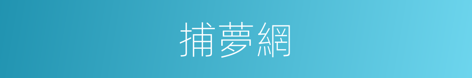 捕夢網的同義詞