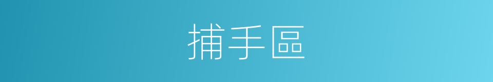 捕手區的同義詞