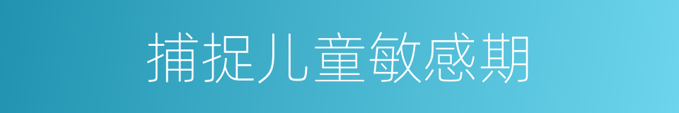 捕捉儿童敏感期的同义词