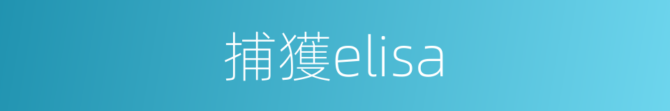 捕獲elisa的同義詞