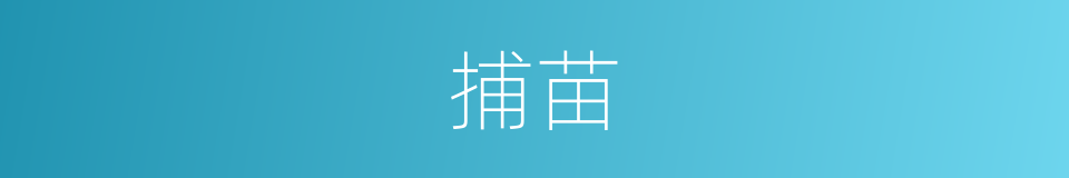 捕苗的同义词