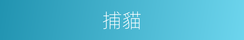 捕貓的同義詞
