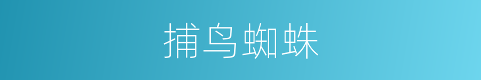 捕鸟蜘蛛的同义词