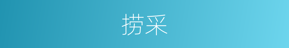 捞采的意思