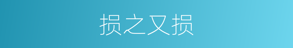 损之又损的意思