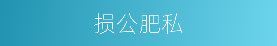 损公肥私的意思