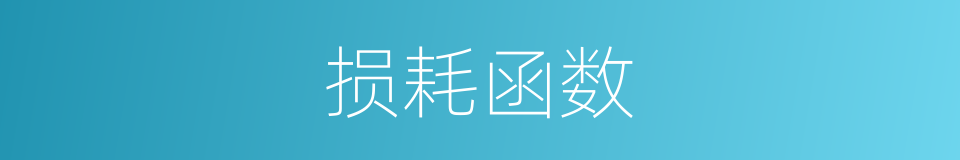 损耗函数的同义词