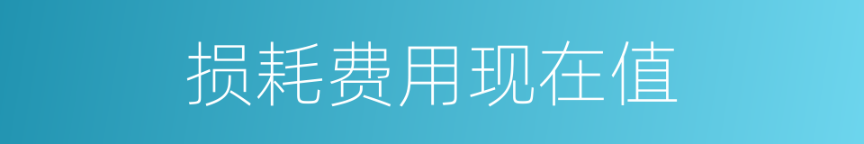 损耗费用现在值的同义词