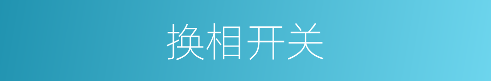 换相开关的同义词