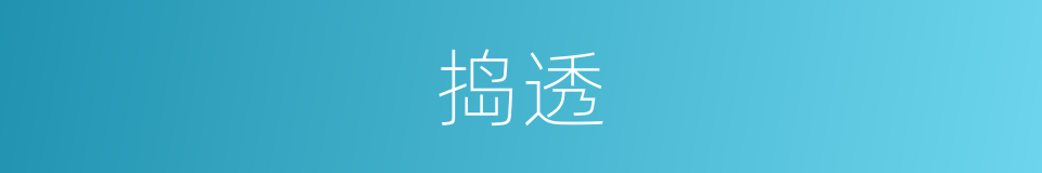 捣透的同义词