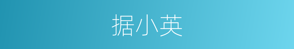据小英的同义词