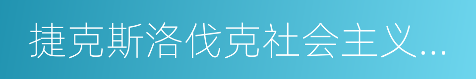 捷克斯洛伐克社会主义共和国的同义词