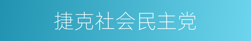 捷克社会民主党的同义词