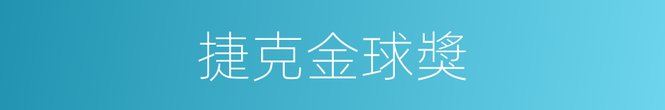 捷克金球獎的同義詞