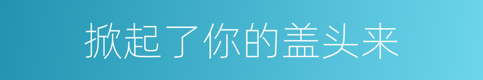 掀起了你的盖头来的同义词