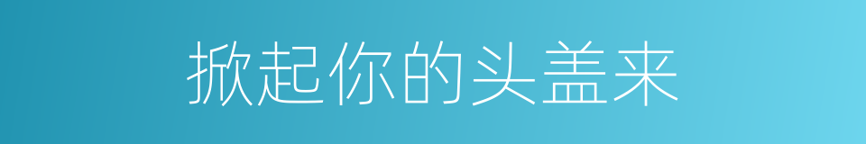 掀起你的头盖来的同义词