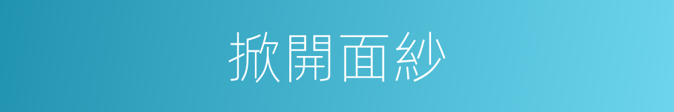 掀開面紗的同義詞