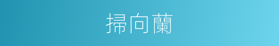 掃向蘭的同義詞