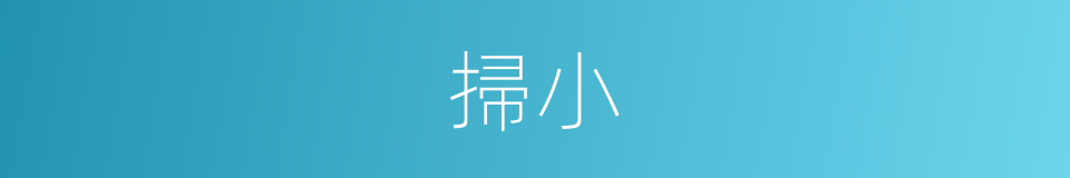 掃小的同義詞