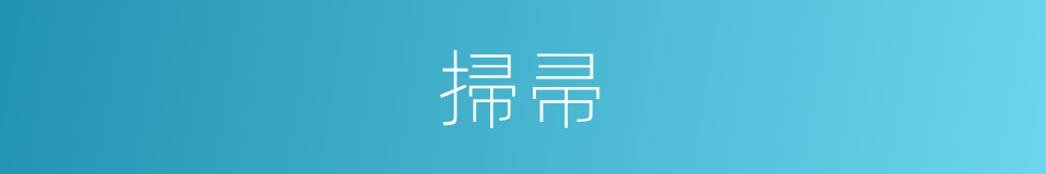 掃帚的意思