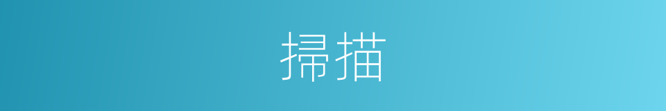 掃描的意思