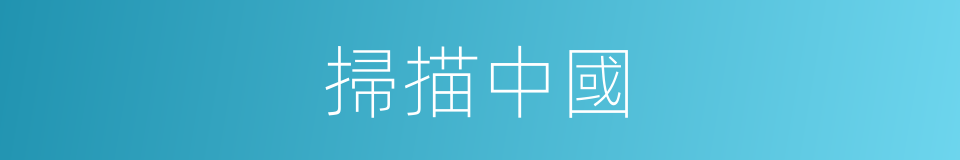 掃描中國的同義詞