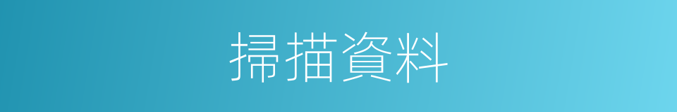 掃描資料的意思