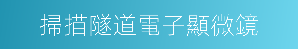 掃描隧道電子顯微鏡的同義詞