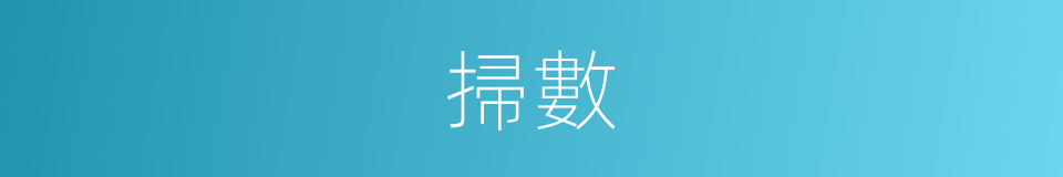 掃數的意思
