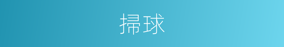 掃球的同義詞