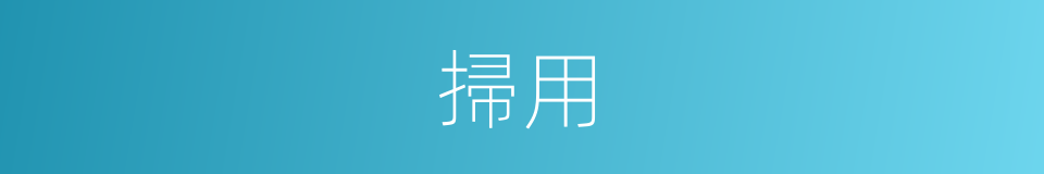 掃用的同義詞