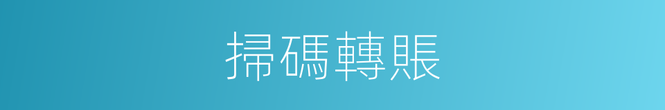 掃碼轉賬的同義詞