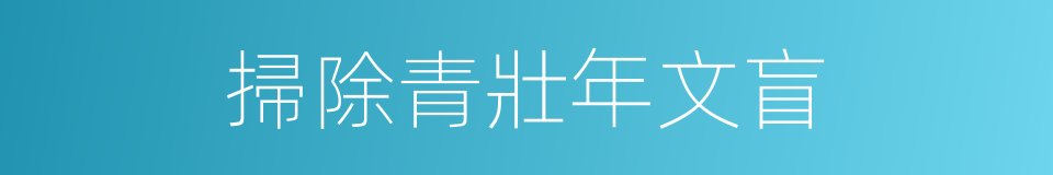 掃除青壯年文盲的同義詞