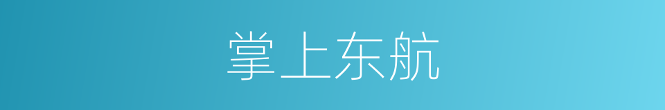 掌上东航的同义词