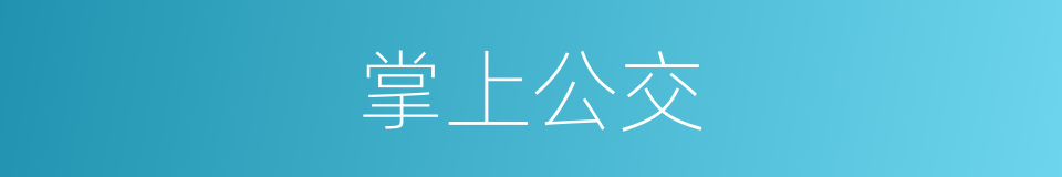掌上公交的同义词