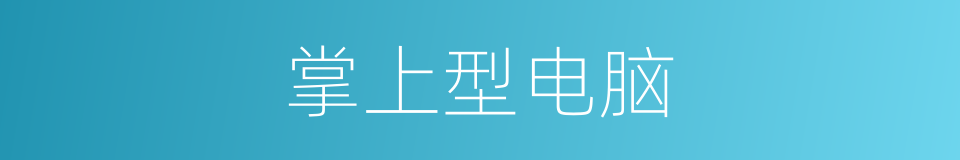掌上型电脑的同义词