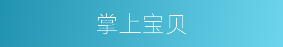 掌上宝贝的同义词