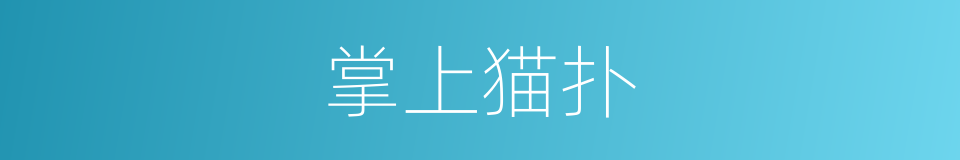 掌上猫扑的同义词