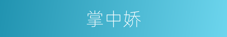 掌中娇的同义词