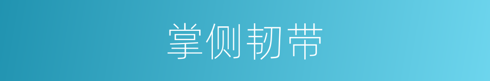 掌侧韧带的同义词