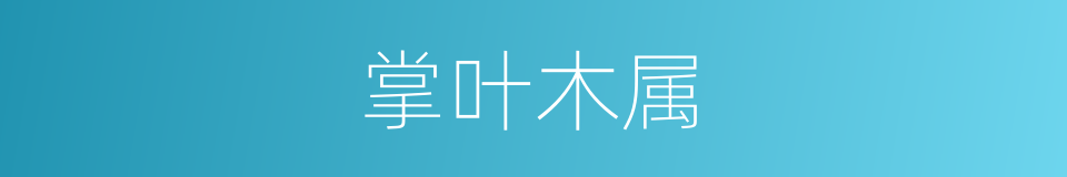 掌叶木属的同义词