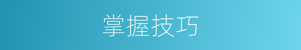 掌握技巧的同义词