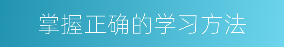 掌握正确的学习方法的同义词