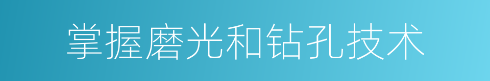 掌握磨光和钻孔技术的同义词