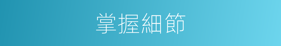 掌握細節的同義詞