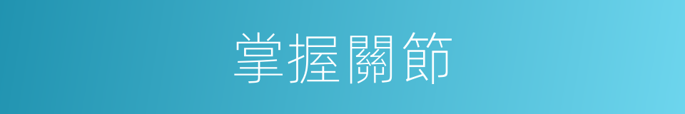 掌握關節的同義詞