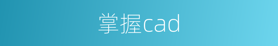 掌握cad的同义词